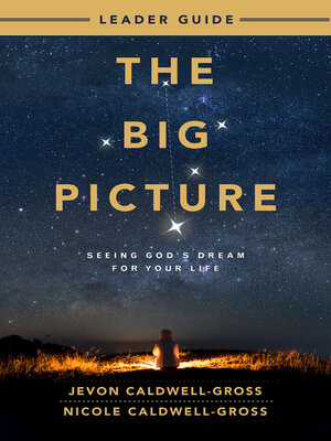 cover image of The Big Picture Leader Guide